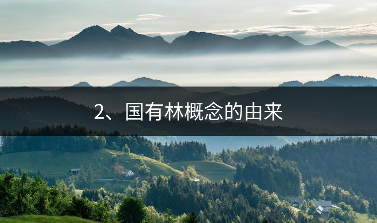 2、國(guó)有林概念的由來(lái)