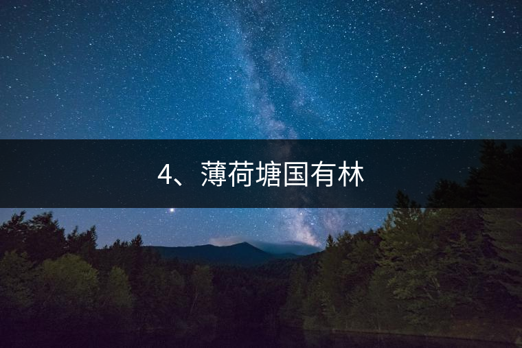 4、薄荷塘國(guó)有林