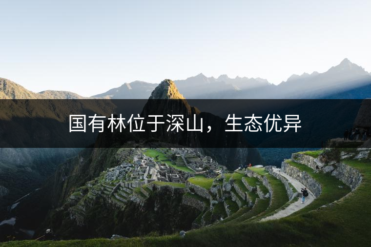 國有林位于深山，生態(tài)優(yōu)異