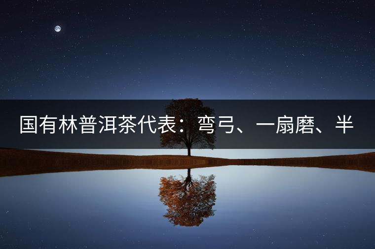 國有林普洱茶代表：彎弓、一扇磨、半坡老寨