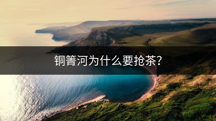 銅箐河為什么要搶茶？