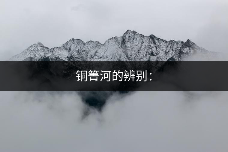 銅箐河的辨別：