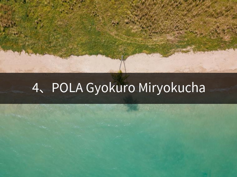 4、POLA Gyokuro Miryokucha