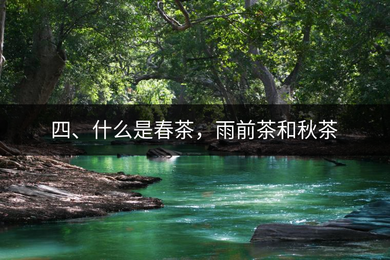 四、什么是春茶，雨前茶和秋茶