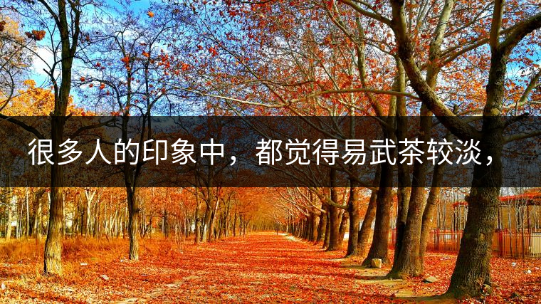 很多人的印象中，都覺得易武茶較淡，但存放幾年后，再喝又覺得茶味茶氣變濃了。我們就這個(gè)問題，考察了易武古茶山，和走訪了當(dāng)?shù)夭柁r(nóng)。我們發(fā)現(xiàn)這跟易武古樹茶的茶質(zhì)和茶農(nóng)制茶的傳統(tǒng)工藝有關(guān)。