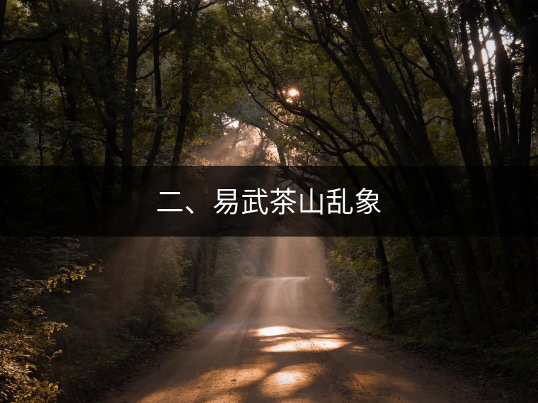 二、易武茶山亂象