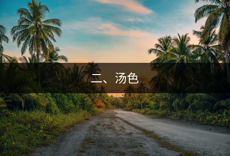 二、湯色