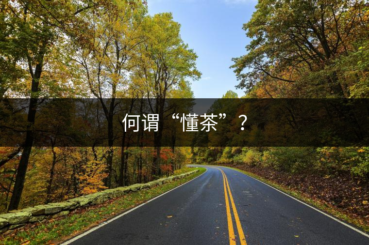 何謂“懂茶”？