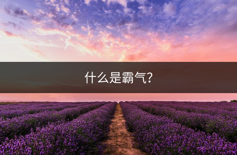 什么是霸氣？