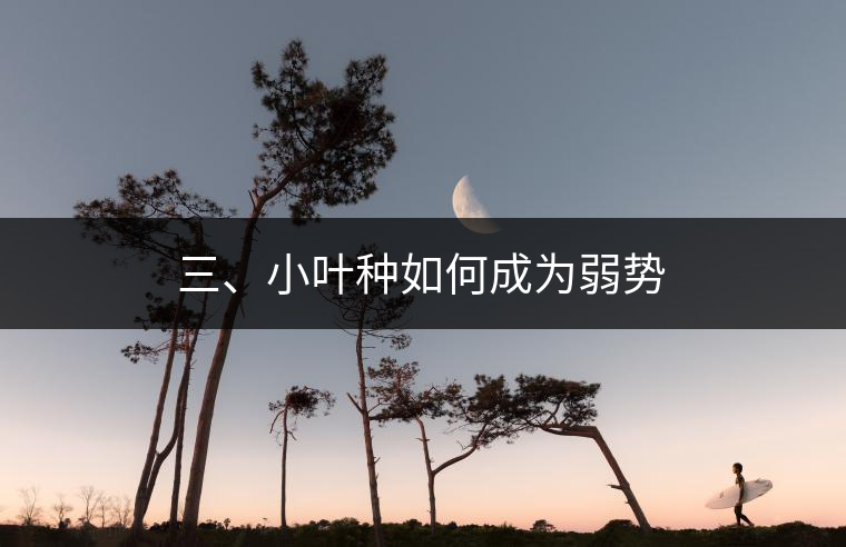 三、小葉種如何成為弱勢