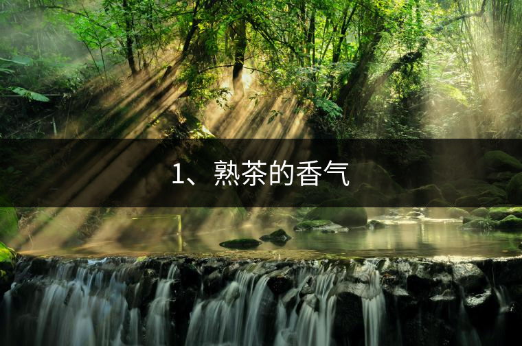 1、熟茶的香氣