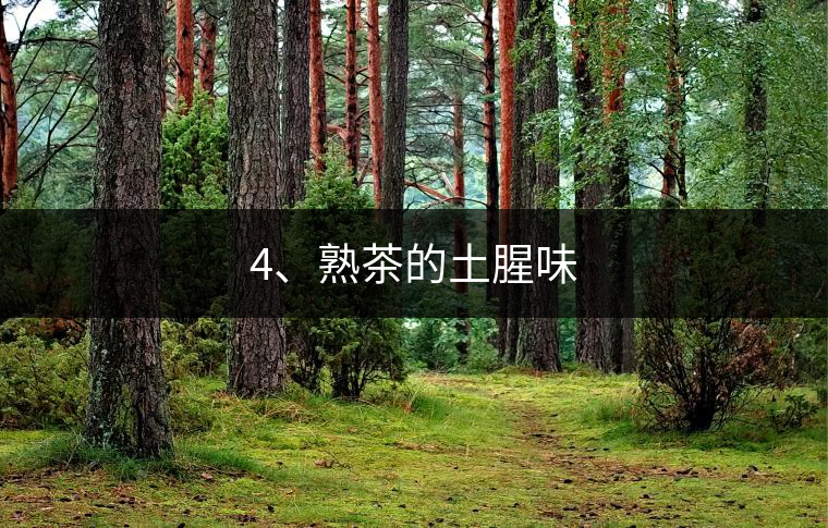4、熟茶的土腥味