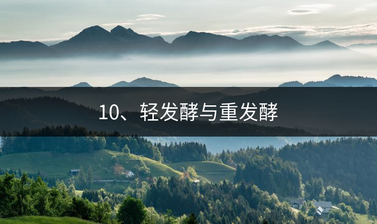 10、輕發(fā)酵與重發(fā)酵