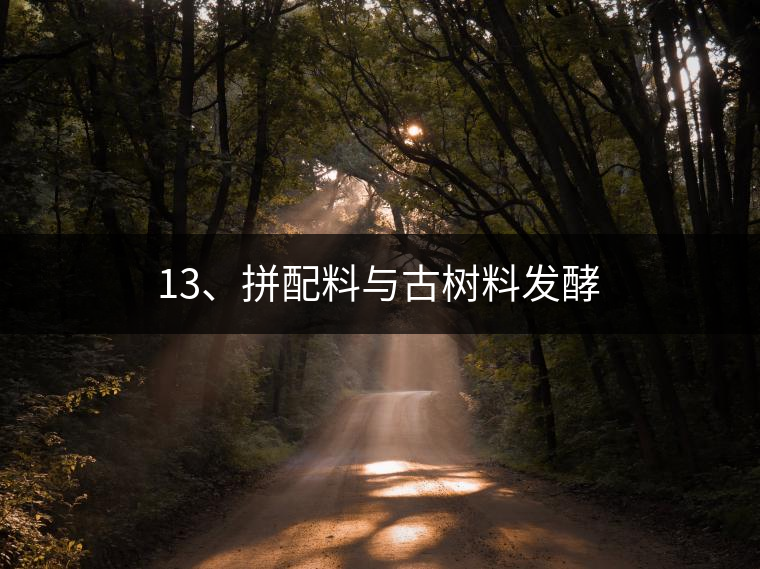 13、拼配料與古樹料發(fā)酵