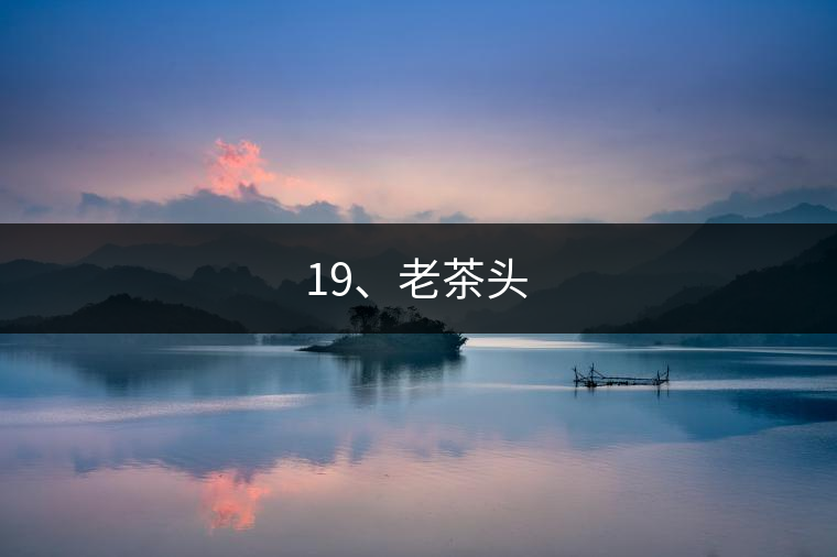 19、老茶頭
