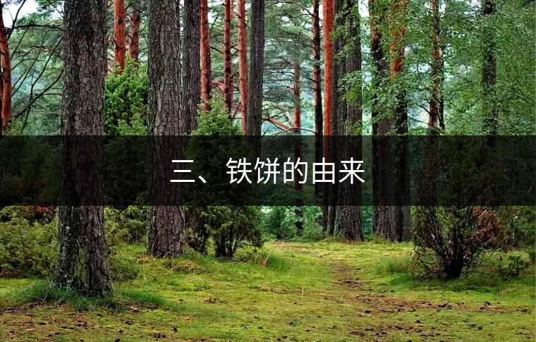 三、鐵餅的由來