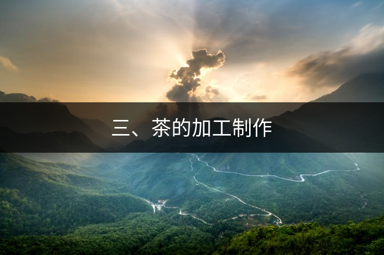 三、茶的加工制作