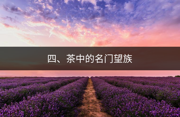 四、茶中的名門望族