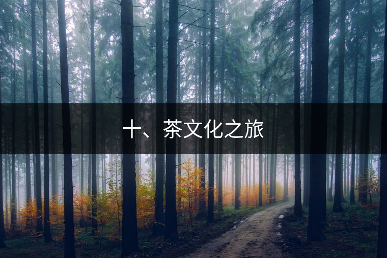 十、茶文化之旅
