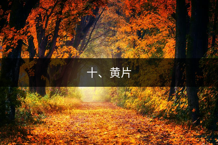 十、黃片