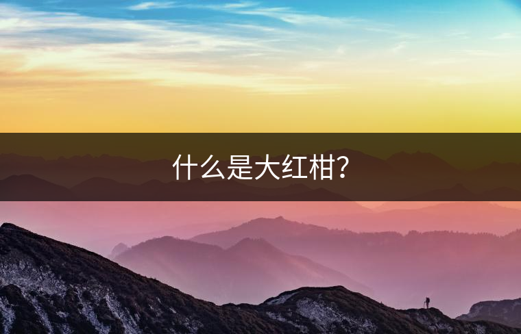 什么是大紅柑？