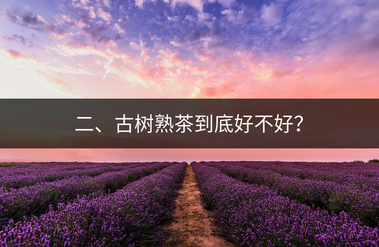 二、古樹熟茶到底好不好？