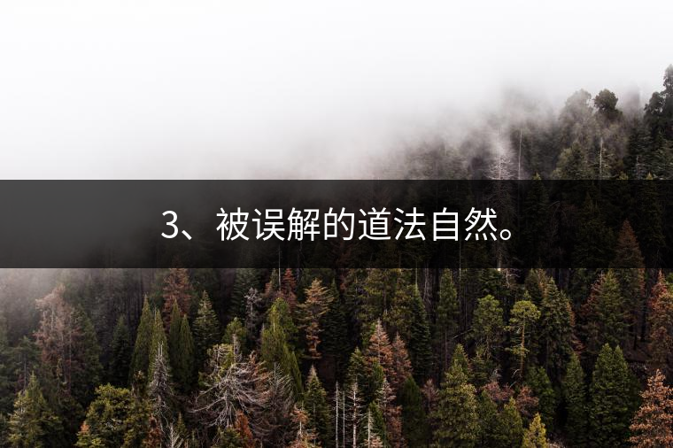 3、被誤解的道法自然。