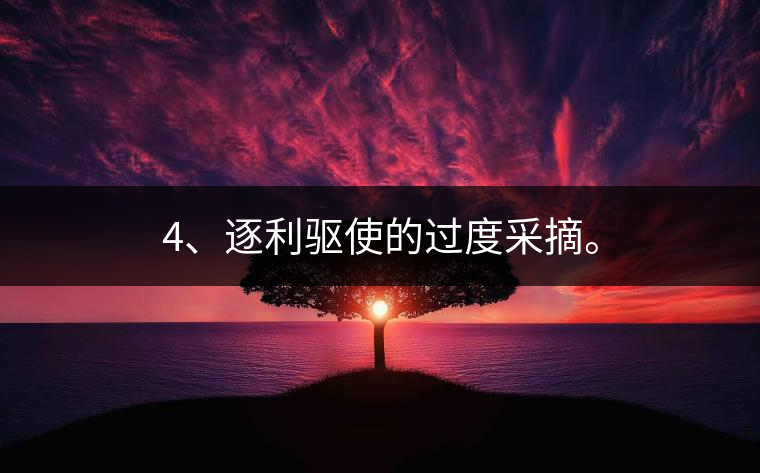 4、逐利驅(qū)使的過度采摘。