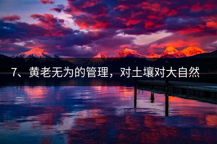 7、黃老無為的管理，對(duì)土壤對(duì)大自然的過渡依賴，對(duì)茶樹根疏忽。