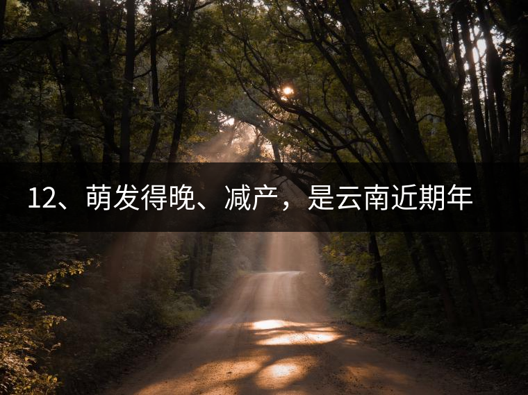 12、萌發(fā)得晚、減產(chǎn)，是云南近期年氣候變化在茶樹上的延遲反映。