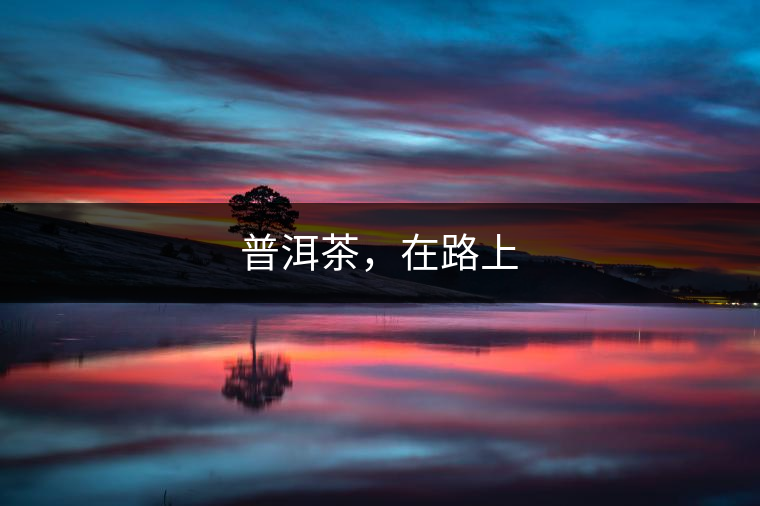 普洱茶，在路上
