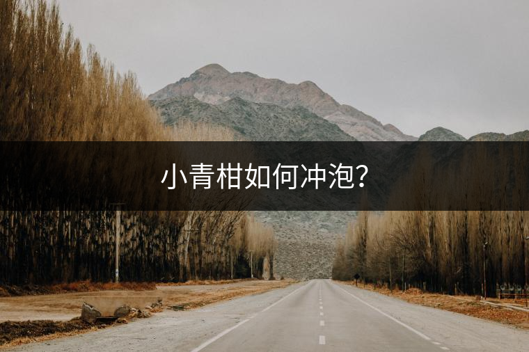 小青柑如何沖泡？