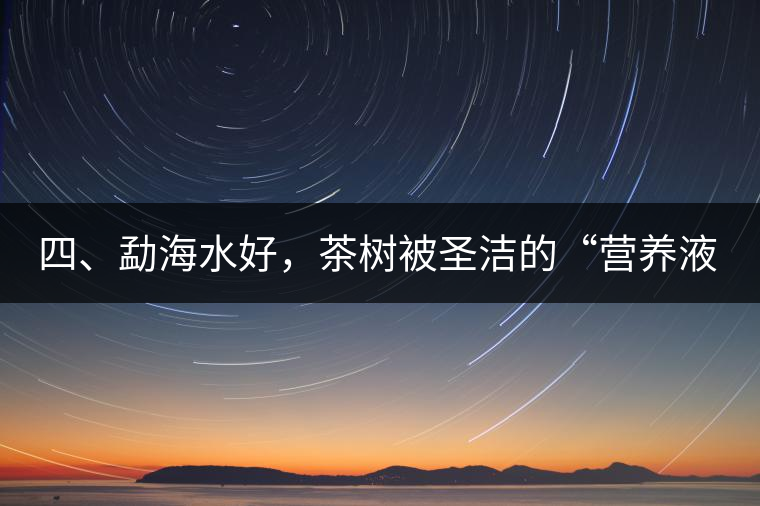 四、勐海水好，茶樹被圣潔的“營養(yǎng)液”所滋養(yǎng)