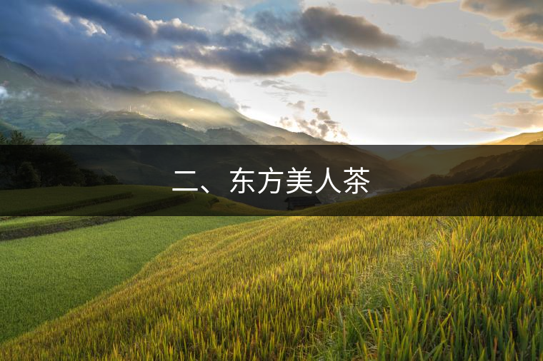 二、東方美人茶