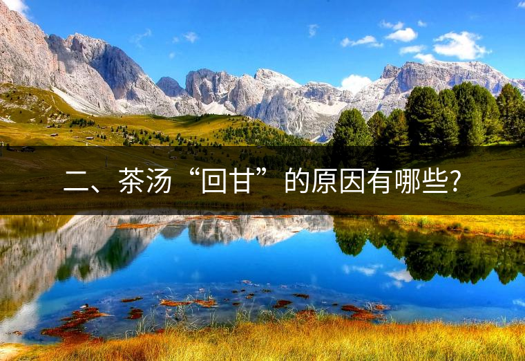 二、茶湯“回甘”的原因有哪些?