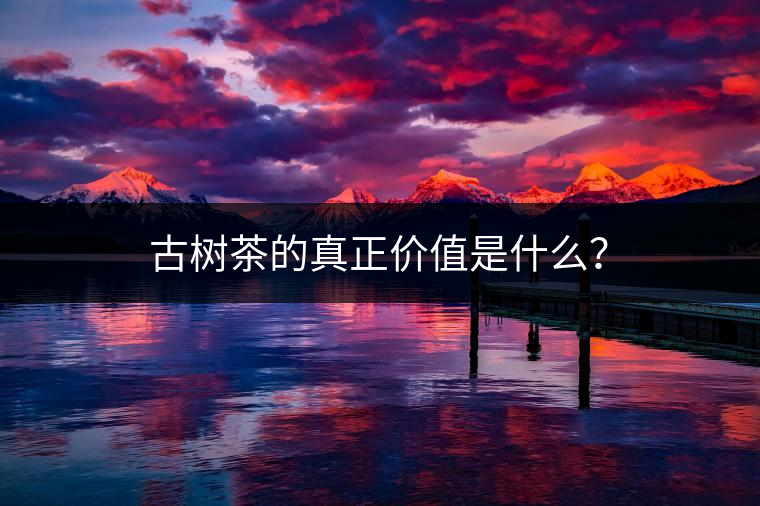古樹茶的真正價(jià)值是什么？
