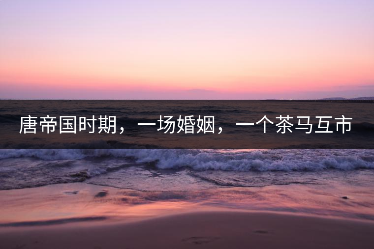 唐帝國時期，一場婚姻，一個茶馬互市，讓這里結(jié)束了漢藏對峙。宋代南茶北，西北茶馬司設立，因茶而改變的生活日益凸顯。元代八思巴與忽必烈在這一區(qū)域結(jié)盟，為蒙藏兩大民族交往鋪好通衢大道，明代俺答汗與達賴在山海之間追思各自先人，青海人宗喀巴創(chuàng)建的黃教通過蒙、藏兩大領(lǐng)袖的推廣，締造了影響至今的格局。大清經(jīng)過康、雍、乾三代勵精圖治，滿、藏、蒙各自龐大的疆域第一次完整地統(tǒng)轄在中央帝國的版圖下。