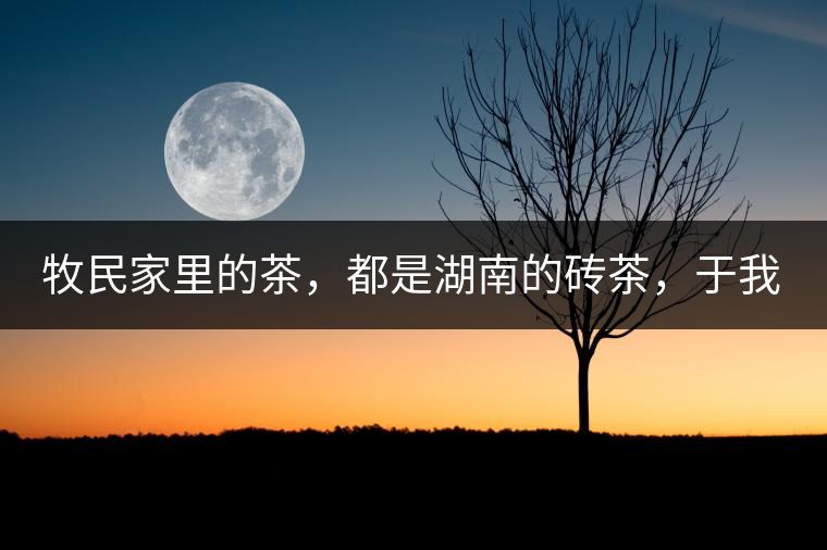 牧民家里的茶，都是湖南的磚茶，于我們而言不見得有多好，它們粗糙得看可見茶梗和樹枝，但于他們來說，卻是每日的生活必需品。端到桌上的茶碗，也是缺了口鋦過青花瓷碗，聞得見修補后的手溫，喝下加過鹽巴的磚茶，一身暖意，融化了深藏在發(fā)底的冰屑，溫暖著身心。