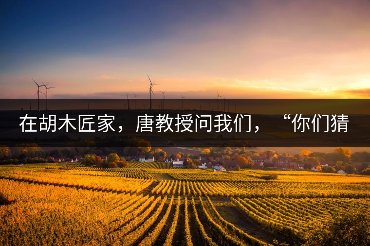 在胡木匠家，唐教授問我們，“你們猜猜他們家的茶放在哪里？”我們回答廚房、客廳都不對，“難道像寺院一樣，有專門的茶房不成？”教授和木匠都哈哈大笑，連連搖頭。在木匠的帶領(lǐng)下，我們來到主人的臥室，茶磚整齊有序地堆放在床頭柜里。一家之主的臥室，既是休息之所，亦是一家財富與傳家寶的收藏地。茶之精貴，毋需多言。