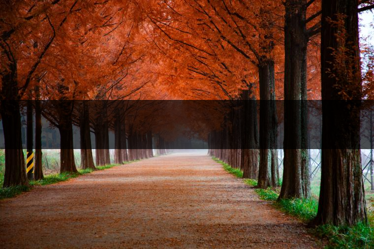 這樣的茶葉邊疆文化，也許是明代大學者解縉最樂意見到的。他曾說，中原最好的東西就是茶，而番人最好的就是馬。他贊同明廷茶馬互市的國策：茶之于夷人，如同中國之酒醴，因為茶馬貿(mào)易，許多夷人也開始學習中國的知識，對中國也有了向慕之心，那么茶的作用就很顯然，茶有著“夷夏之交，義利之辨，寅賓尚忠信而篤敬，河州固唐虞三代之邦也。”
茶不僅僅是一種飲品，還有其他。茶作為媒介，體現(xiàn)了觀念的變化。如今，隨著茶的傳播，各族人民有了更深入往來，通過貿(mào)易、文化、旅游等等。
陳渠珍從西藏抵達湟源區(qū)域時，也為這里的古風所震驚：“余皆漢番雜處。風俗婦女尚餞足，裙下蓮步不及三寸，服飾既古，文化尤卑，鄰居為私塾，當見一生久讀不能成誦，塾師罰之跪，以草圈罩頭上，頻加籌石，令其跪誦。余見駭然?！?
?
（摘自《海峽茶道》，2013年5期）