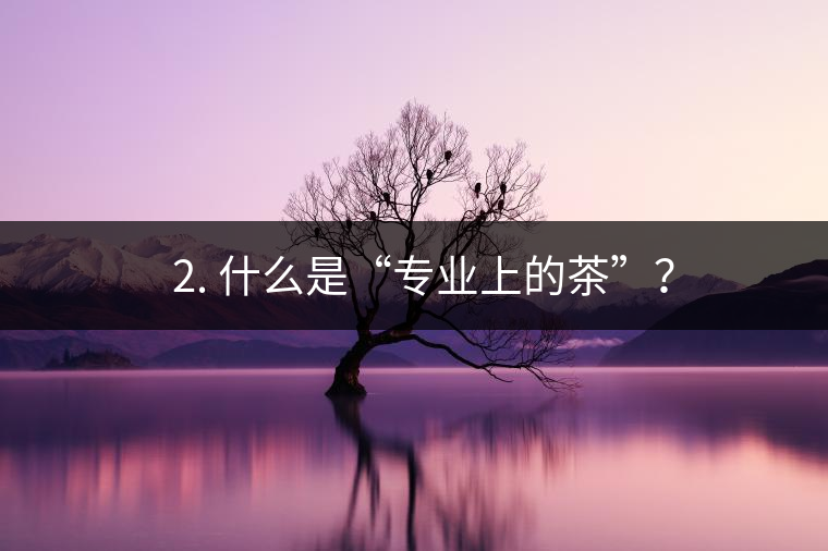 ? 2. 什么是“專業(yè)上的茶”？