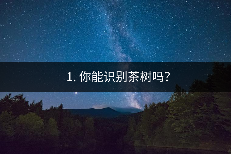 ??1. 你能識別茶樹嗎？
