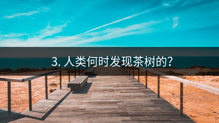 ? 3. 人類何時發(fā)現(xiàn)茶樹的？