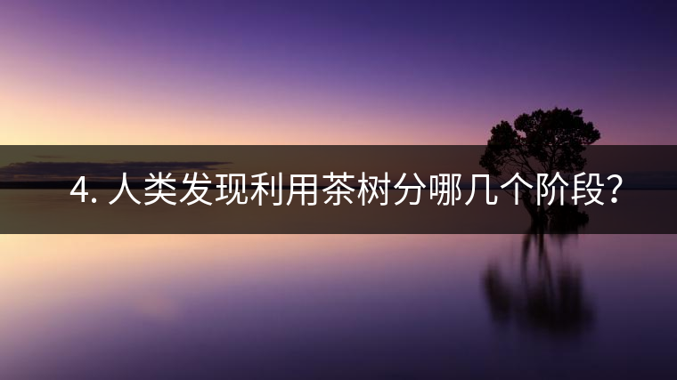 ? 4. 人類發(fā)現(xiàn)利用茶樹分哪幾個階段？