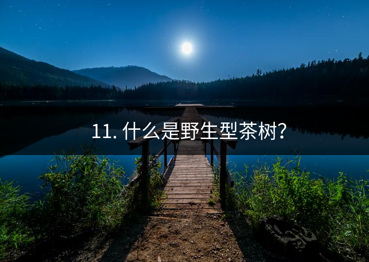 ? 11. 什么是野生型茶樹？