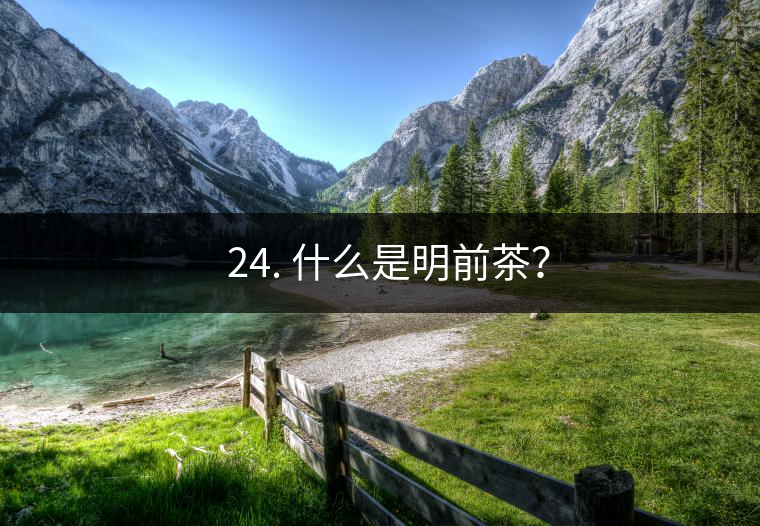? 24. 什么是明前茶？