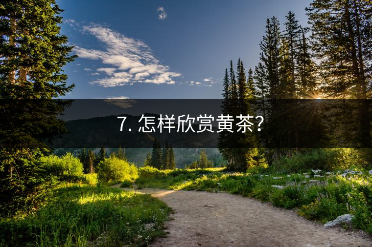 ? 7. 怎樣欣賞黃茶？