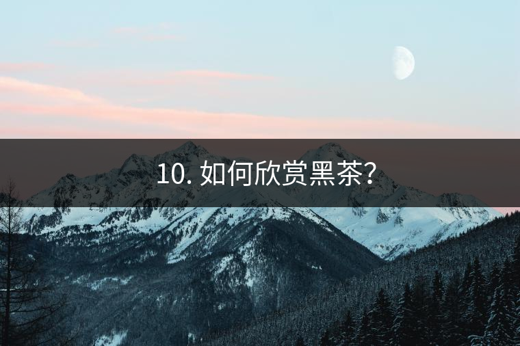 ? 10. 如何欣賞黑茶？