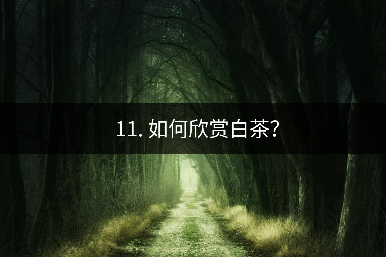 ??11. 如何欣賞白茶？