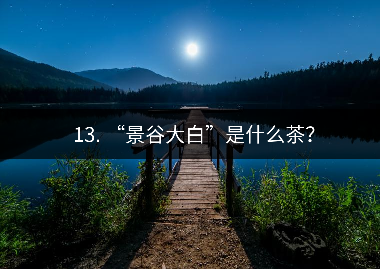 ? 13. “景谷大白”是什么茶？
